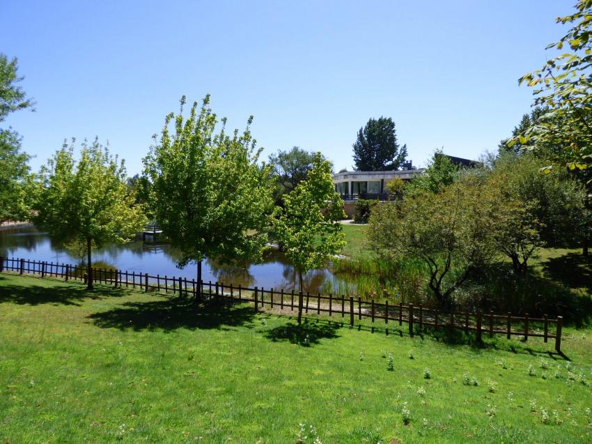 Parque Ambiental comemora 24 anos com Exploradores da Natureza e Biodiversidade