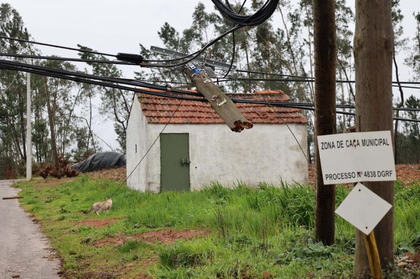 Cerca de 20 mil clientes continuam sem serviços fixos de comunicações - Anacom