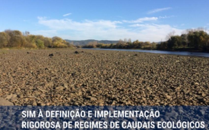 proTEJO avança para tribunais europeus na defesa do rio