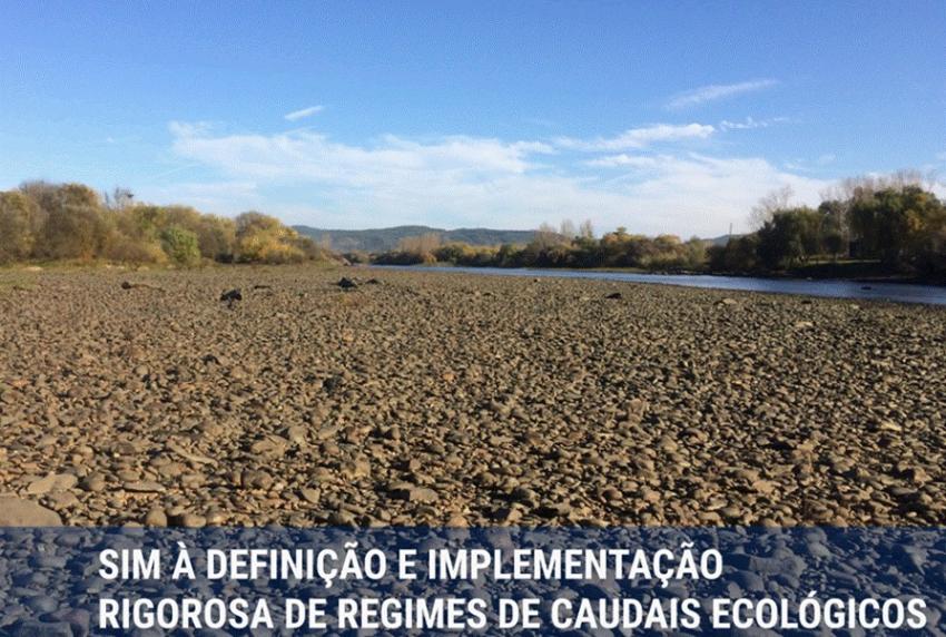 proTEJO alerta para Tejo e Zêzere com caudais de “uma ribeira” e denuncia incumprimentos