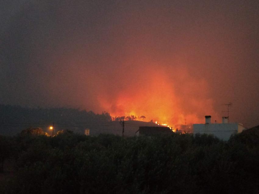 Abrantes: Governo apoia na reposição em 60% os danos provocados por incêndios (COM ÁUDIO)