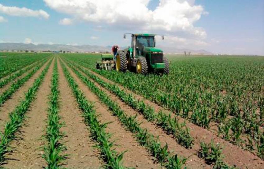 Distrital de Santarém apresenta moção setorial sobre agricultura