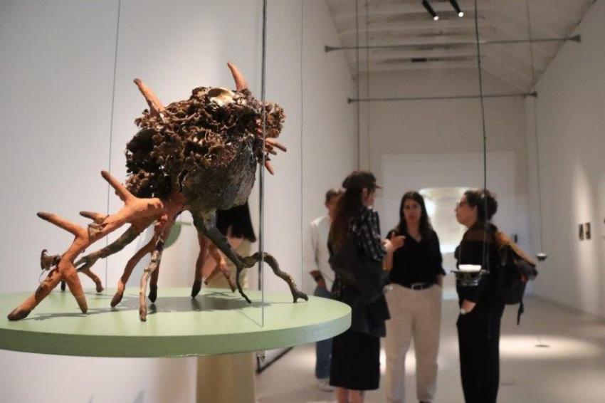 MIAA com mais duas exposições de Arte Contemporânea da coleção Figueiredo Ribeiro (c/áudio)