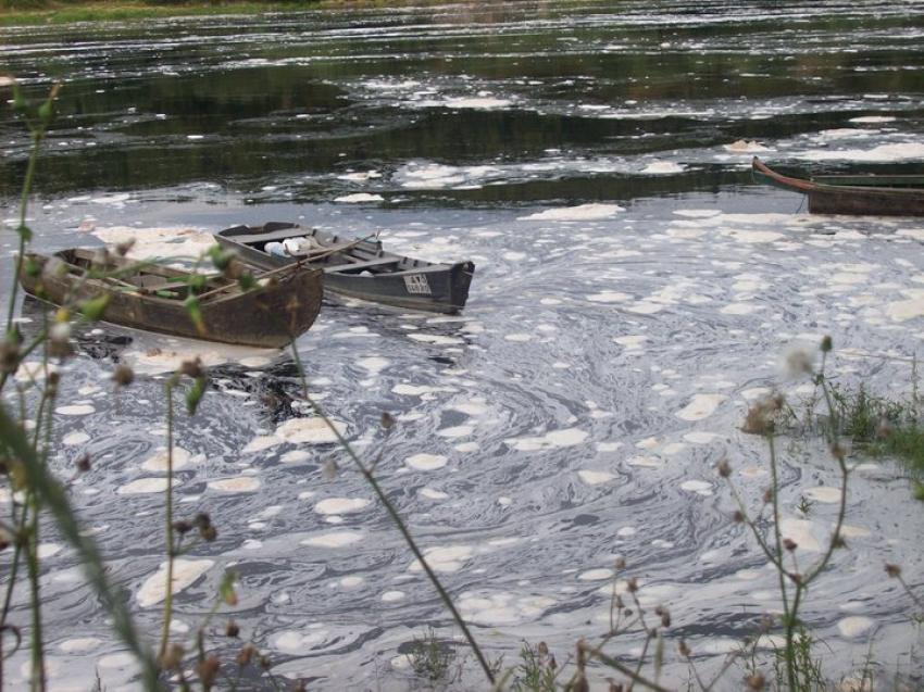 Ambientalistas rejeitam morte de peixes no Tejo por algas e reafirmam que problema é a poluição