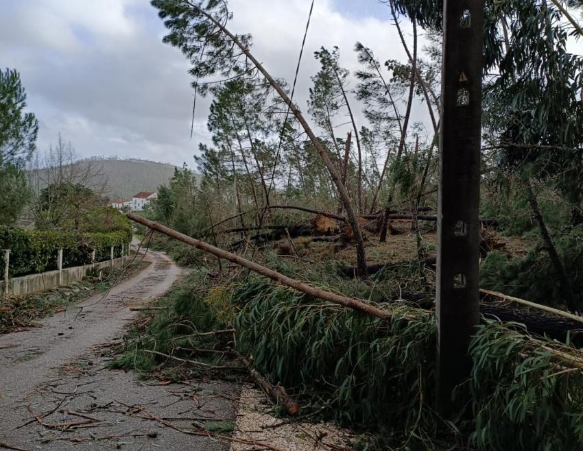 Só 40% do concelho tem comunicações