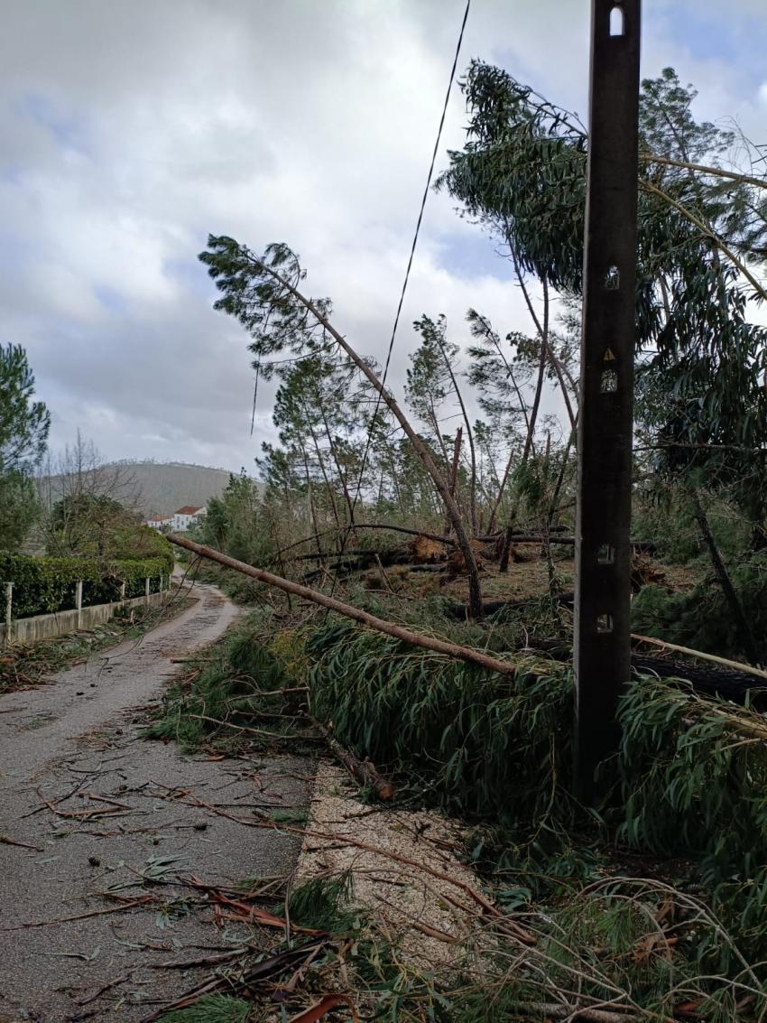 Governo prolonga situação de calamidade até 08 de fevereiro