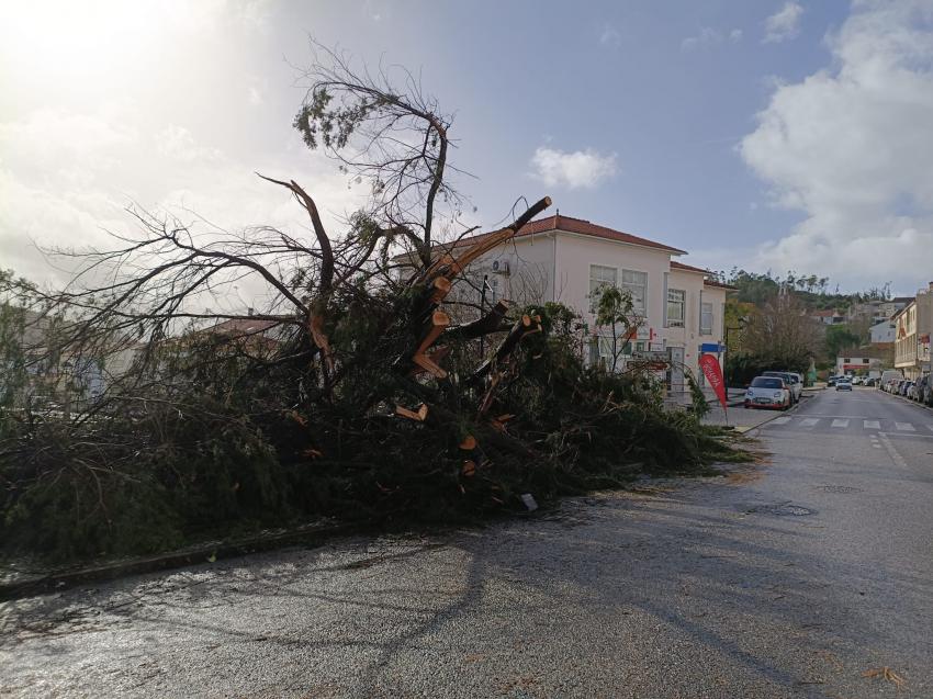 Vila de Rei continua sem comunicações e metade do concelho sem eletricidade (c/áudio)