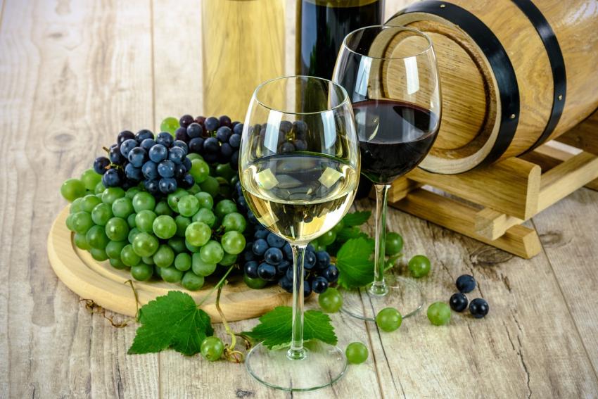 Produção de vinho em 2023 será a maior desde 2006